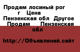 Продам лосиный рог 2016 г › Цена ­ 2 500 - Пензенская обл. Другое » Продам   . Пензенская обл.